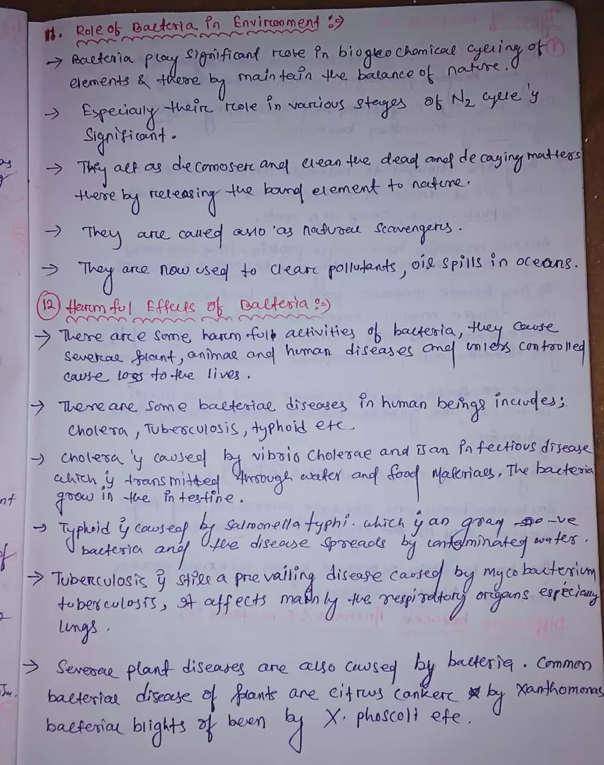 Chapter 1: Bacteria - Page 7
