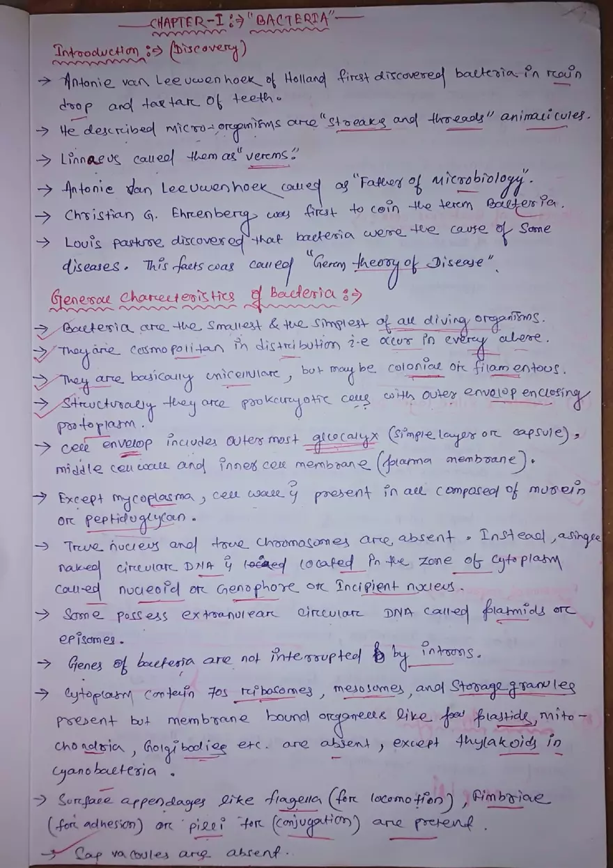 Chapter 1: Bacteria - Page 1