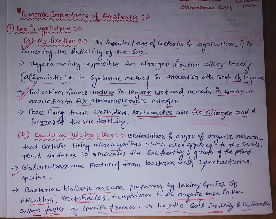 Chapter 1: Bacteria - Page 3